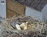 Capi_Dubne_20260523_154504.jpg