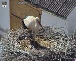 Capi_Dubne_20260523_160502.jpg
