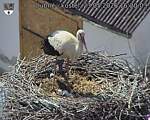 Capi_Dubne_20260523_162003.jpg