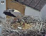 Capi_Dubne_20260523_162503.jpg