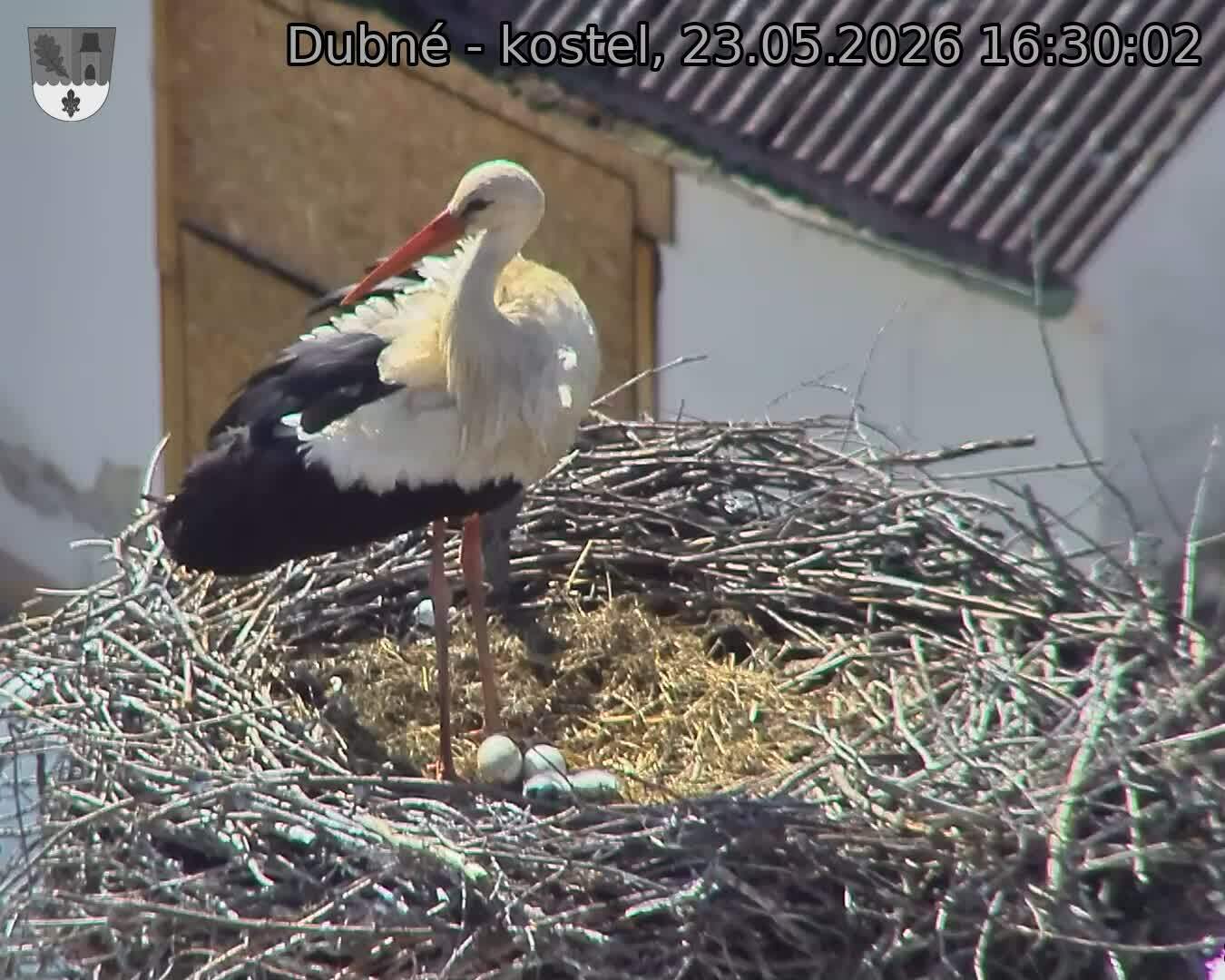 preload
