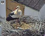 Capi_Dubne_20260523_163002.jpg