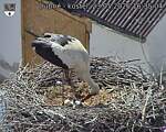 Capi_Dubne_20260523_163504.jpg