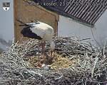 Capi_Dubne_20260523_165502.jpg