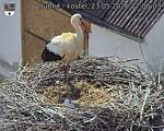 Capi_Dubne_20260523_170003.jpg