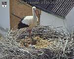 Capi_Dubne_20260523_170502.jpg