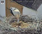 Capi_Dubne_20260523_171002.jpg
