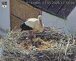 Capi_Dubne_20260523_175004.jpg