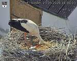 Capi_Dubne_20260523_180003.jpg