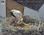 Capi_Dubne_20260523_180502.jpg