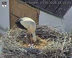 Capi_Dubne_20260523_181004.jpg