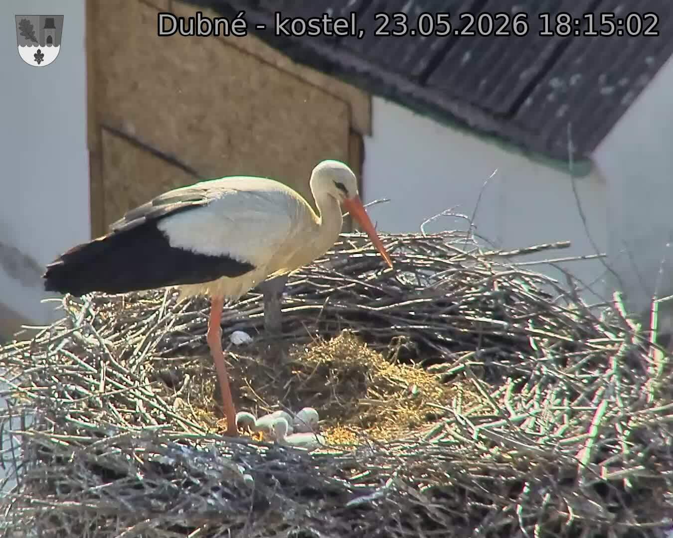preload