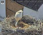 Capi_Dubne_20260523_183503.jpg