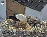 Capi_Dubne_20260523_185004.jpg