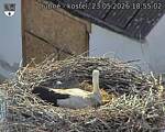 Capi_Dubne_20260523_185502.jpg