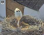 Capi_Dubne_20260523_190502.jpg