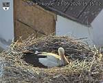 Capi_Dubne_20260523_191502.jpg