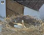Capi_Dubne_20260523_195004.jpg