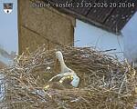 Capi_Dubne_20260523_202004.jpg