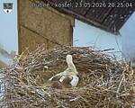 Capi_Dubne_20260523_202504.jpg