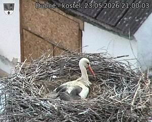 preload