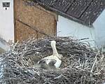 Capi_Dubne_20260523_210504.jpg