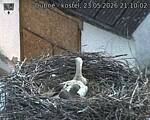Capi_Dubne_20260523_211002.jpg