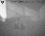 Capi_Dubne_20260523_222503.jpg