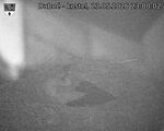 Capi_Dubne_20260523_230002.jpg