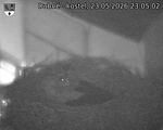 Capi_Dubne_20260523_230503.jpg