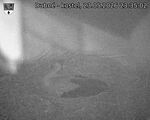 Capi_Dubne_20260523_233502.jpg