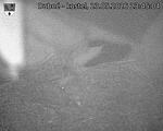Capi_Dubne_20260523_234504.jpg
