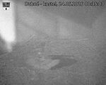 Capi_Dubne_20260524_003503.jpg