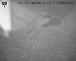 Capi_Dubne_20260524_004502.jpg