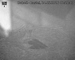 Capi_Dubne_20260524_012003.jpg