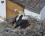 Capi_Dubne_20260524_104503.jpg