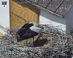 Capi_Dubne_20260524_121002.jpg