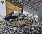 Capi_Dubne_20260524_130503.jpg