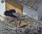 Capi_Dubne_20260524_135503.jpg