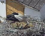 Capi_Dubne_20260524_142002.jpg