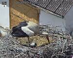 Capi_Dubne_20260524_142503.jpg
