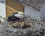 Capi_Dubne_20260524_143003.jpg