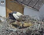 Capi_Dubne_20260524_145003.jpg