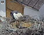 Capi_Dubne_20260524_151003.jpg