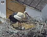 Capi_Dubne_20260524_151503.jpg