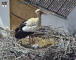 Capi_Dubne_20260524_152004.jpg