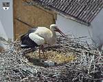 Capi_Dubne_20260524_153003.jpg