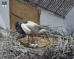 Capi_Dubne_20260524_153503.jpg