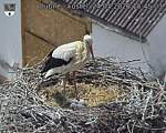 Capi_Dubne_20260524_154503.jpg