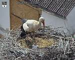 Capi_Dubne_20260524_160503.jpg